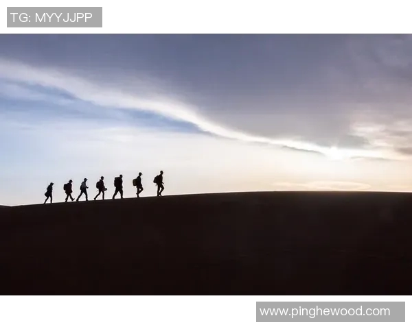 何思雨的成长之路与梦想追寻：从平凡到卓越的心灵旅程
