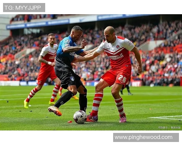 南安联主场迎战米尔沃尔双方争夺英冠积分榜关键战役